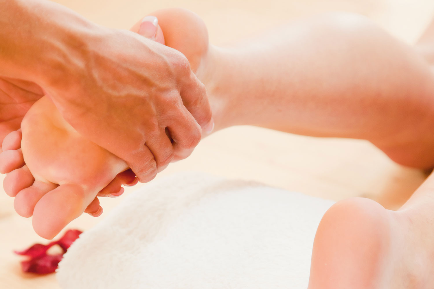 Entspannen und genießen in der Amtsheide Entspannen und genießen in der Amtsheide